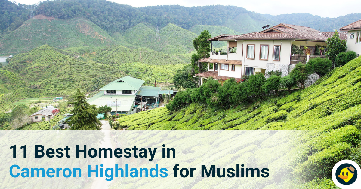 11 Best Homestays in Cameron Highlands for Muslims Featured Image